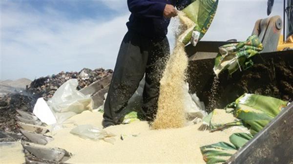 معدوم سازی بیش از 2 تن برنج آلوده در گیلان غرب