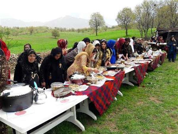 هدف گذاری ایجاد 45 روستای "سالم" در کرمانشاه/ "سراب هرسم" چهارمین روستای سالم می‌شود