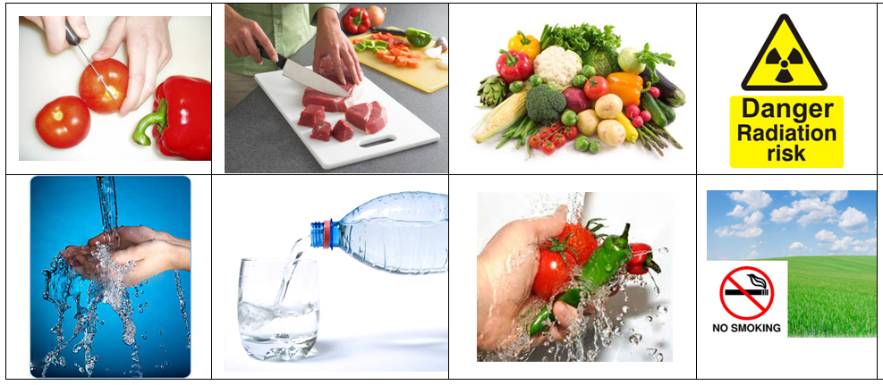 Environmental Health focuses