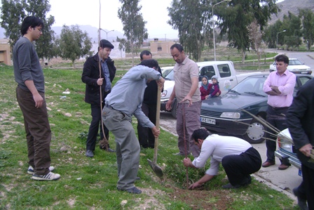 درخت کاری 1