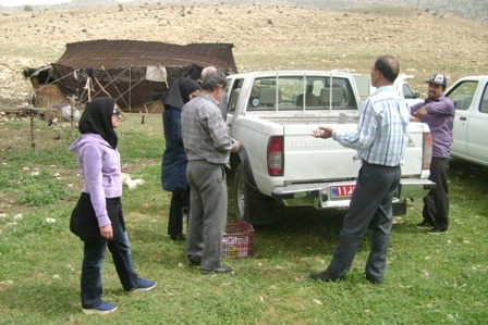 عشایر مرحله دوم8