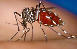 روز جهانی بهداشت 7 آوریل 2014 (18 فروردین 1393)