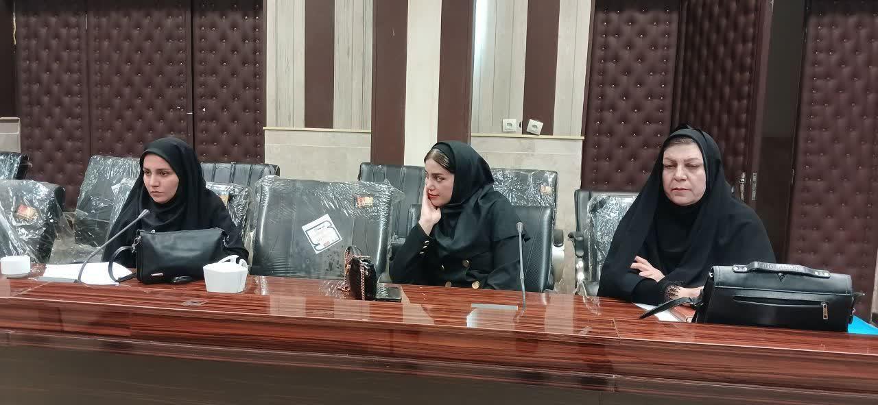 برگزاری کمیته راهبردی پیشگیری از خودکشی در گیلانغرب