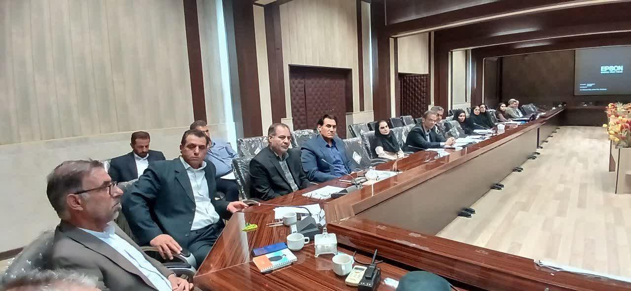 برگزاری کمیته راهبردی پیشگیری از خودکشی در گیلانغرب