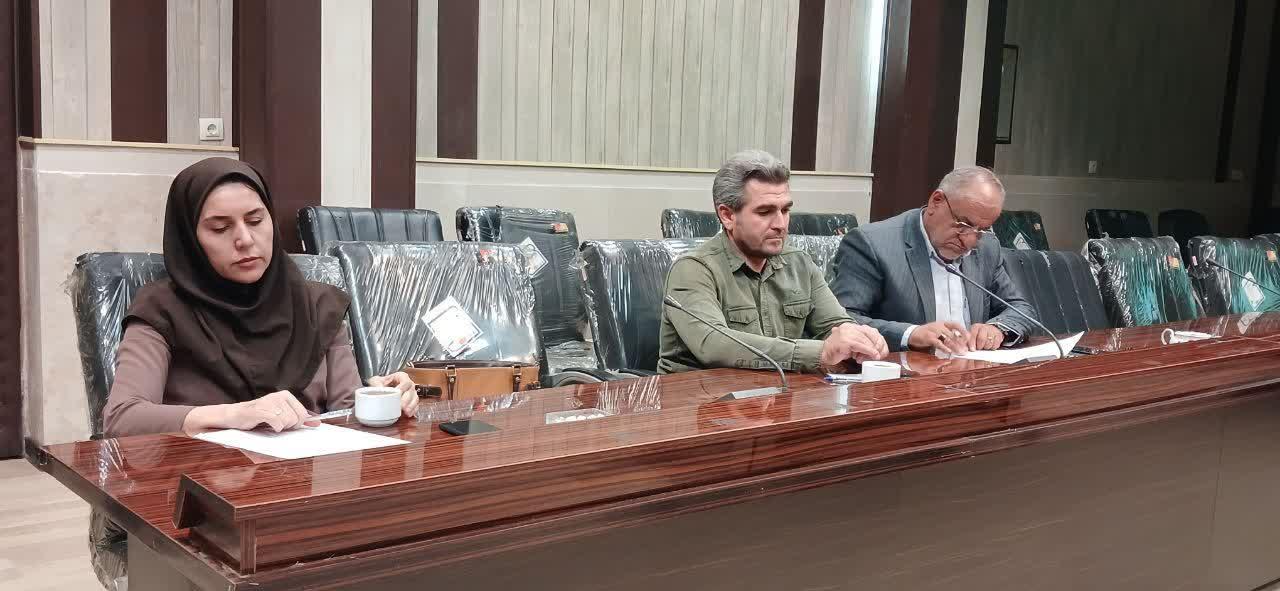 برگزاری کمیته راهبردی پیشگیری از خودکشی در گیلانغرب